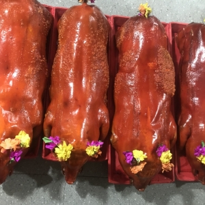 Heo Quay Cúng Thần Tài TPHCM - Lựa Chọn Hoàn Hảo Cho Lễ Cúng Thần Tài