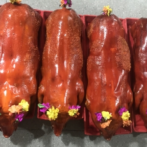 ĐẶT HEO QUAY TẠI TÂN PHÚ