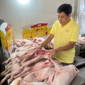 Heo quay sạch từ trang trại: Đảm bảo truy xuất nguồn gốc như thế nào?